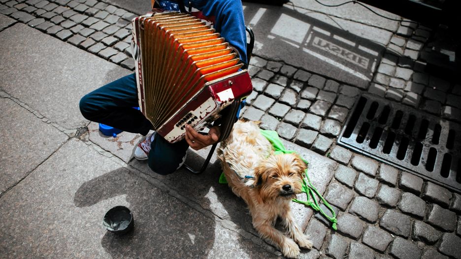 fot. agencja gazeta/ Renata Dąbrowska