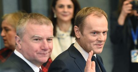 Donald Tusk wraca? "Polecił Grasiowi zrobić przegląd struktur PO"