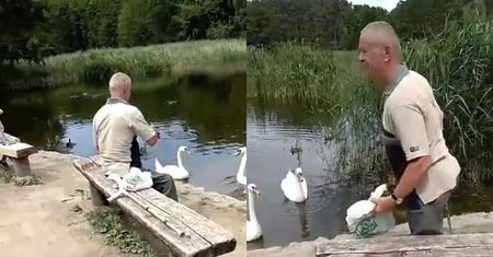 Porywacz kaczki z Poznania zatrzymany