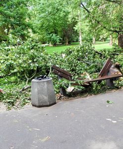 W Parku Praskim zawaliło się drzewo na matkę z dzieckiem. "Nawet nie pożegnałam się z córką"