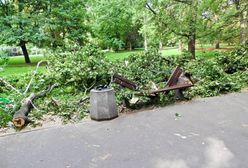 W Parku Praskim zawaliło się drzewo na matkę z dzieckiem. "Nawet nie pożegnałam się z córką"