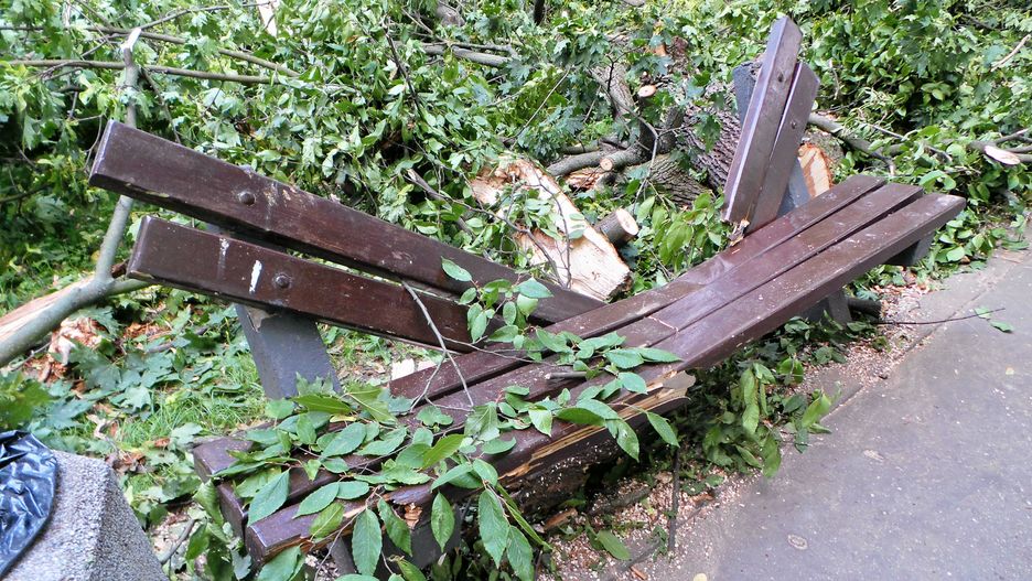 Szczątki ławki, na którą upadł złamany konar