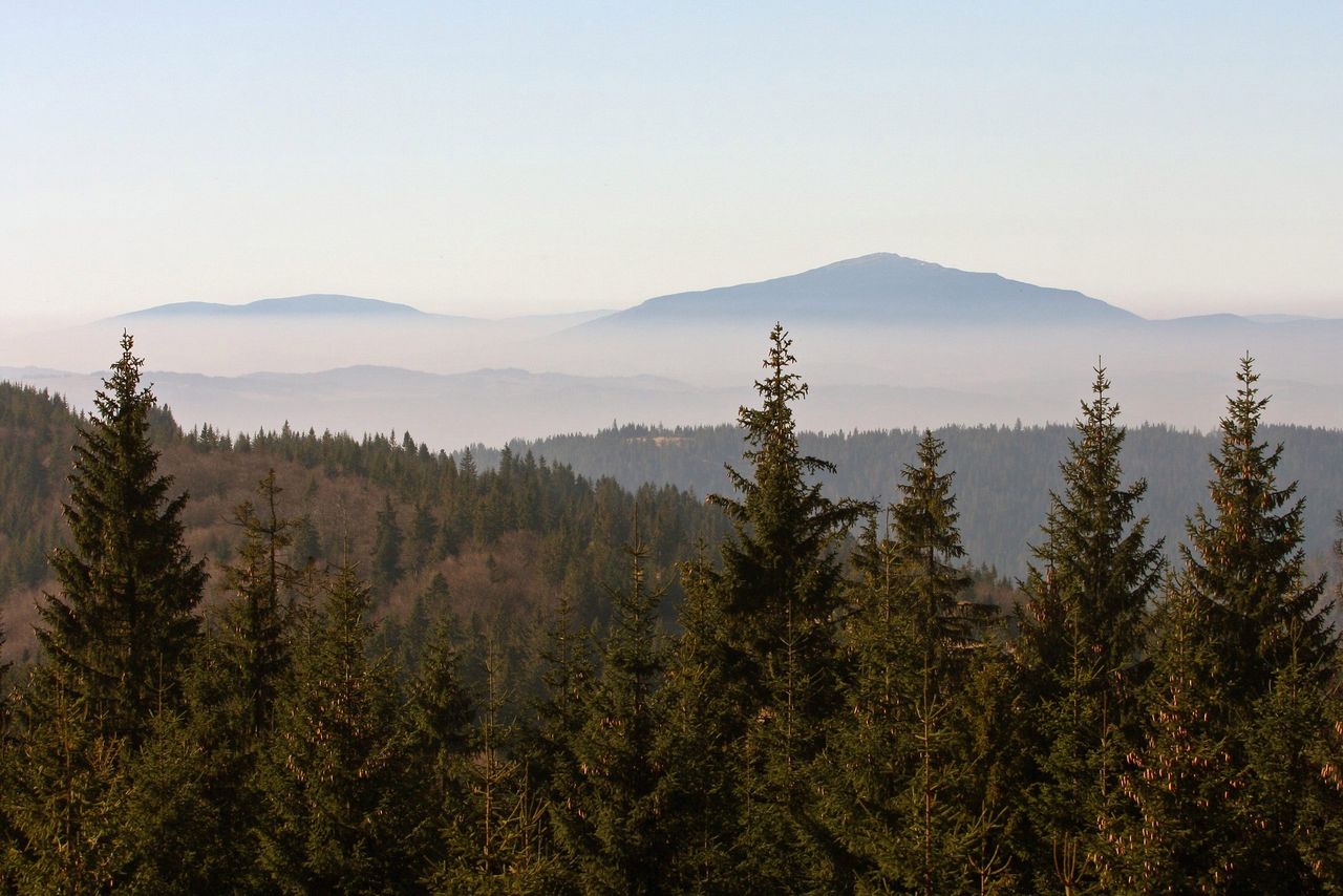 Podhale: trwa akcja ratunkowa w górach