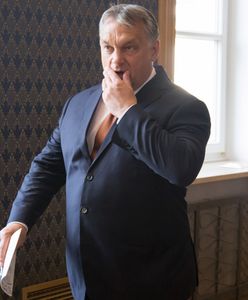 Węgry zawieszają stosunki dyplomatyczne z Holandią. Tego kryzysu z łatwością można było uniknąć