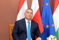 Marcin Makowski: Cwany lis Viktor Orban