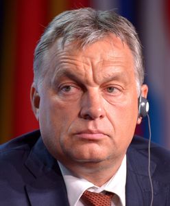 FAZ: list Orbana do EPL to bezczelność