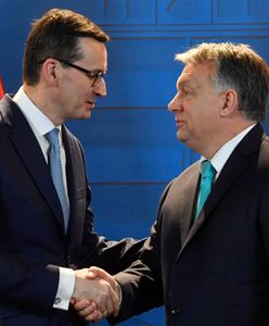 Szczyt Grupy Wyszehradzkiej odbędzie się w Izraelu