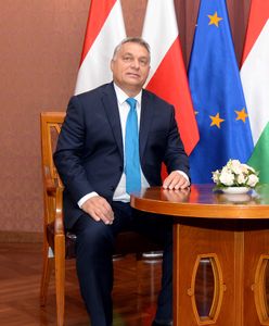 Marcin Makowski: Cwany lis Viktor Orban