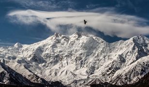 Góry wzywają i trzeba iść - himalaiści o sensie wspinania