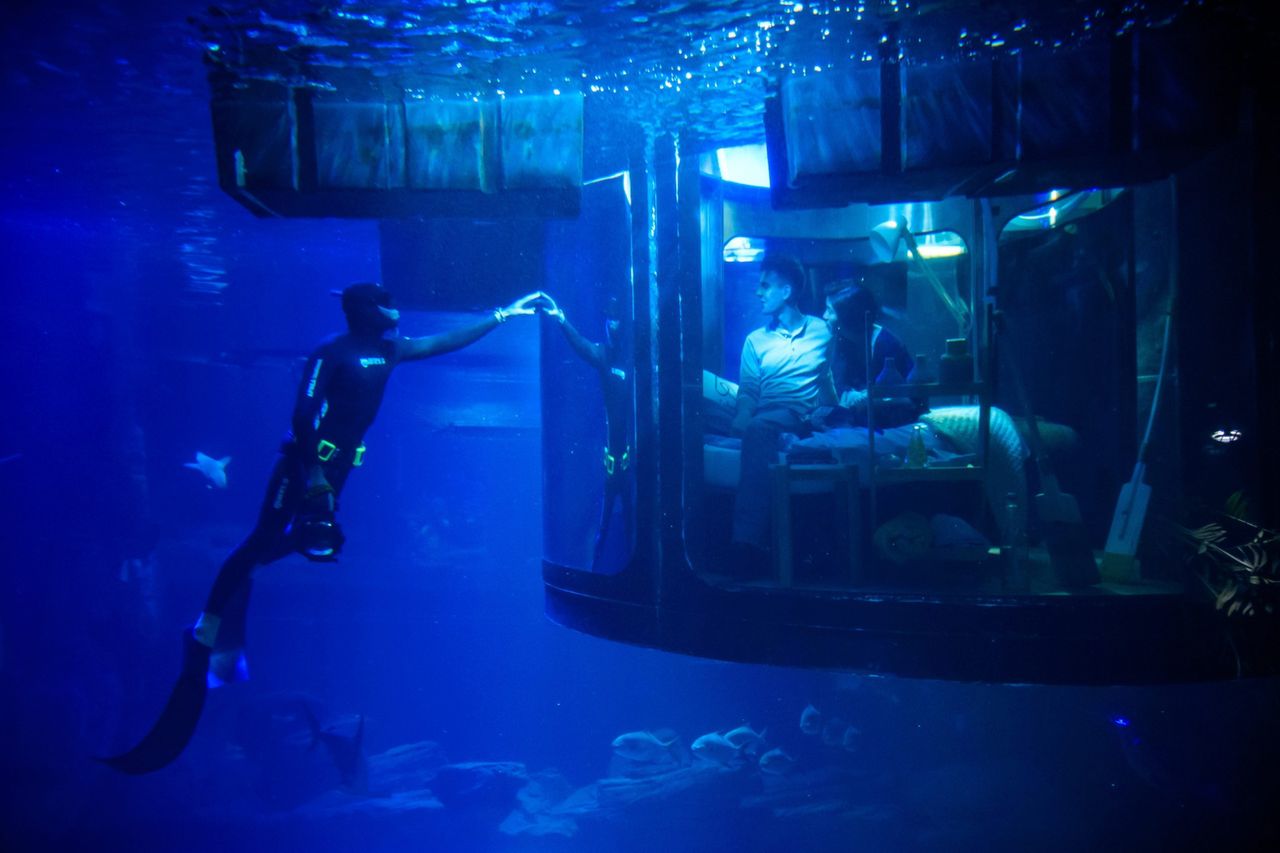 Tej nocy nie zapomną nigdy. Wokół krążyły dziesiątki rekinów