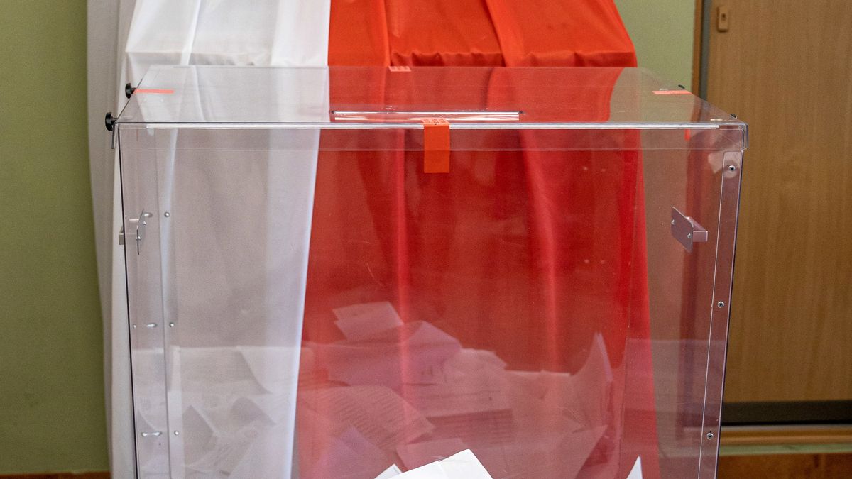 Polacy głosują w niedzielę w wyborach parlamentarnych