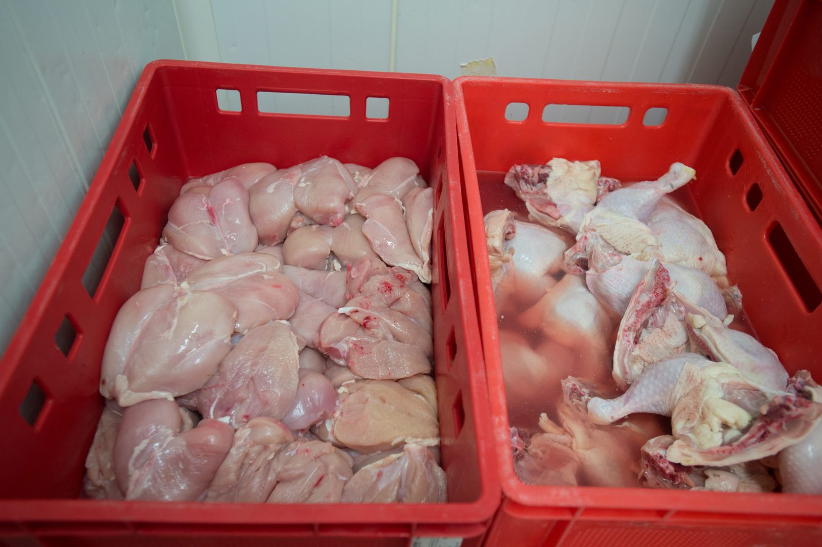Śledczy: Napompowali 43 tony kurczaka. Sprzedawali je producentom wędlin