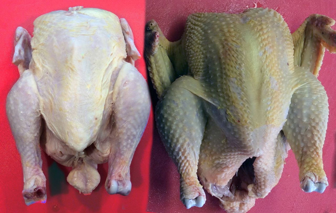 Wiedz co jesz: kurczak z fermy i kurczak z wolnego wybiegu