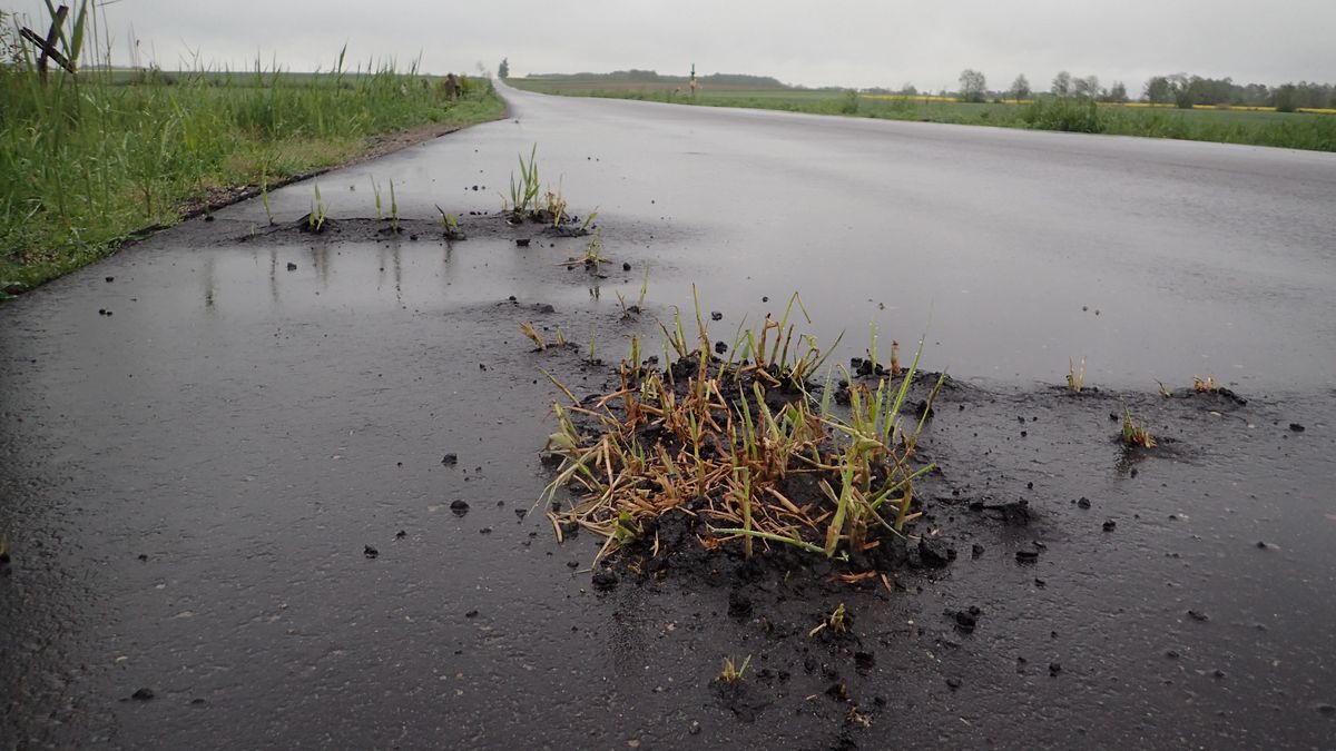 Zdjęcie, które zyskało popularność w mediach społecznościowych    