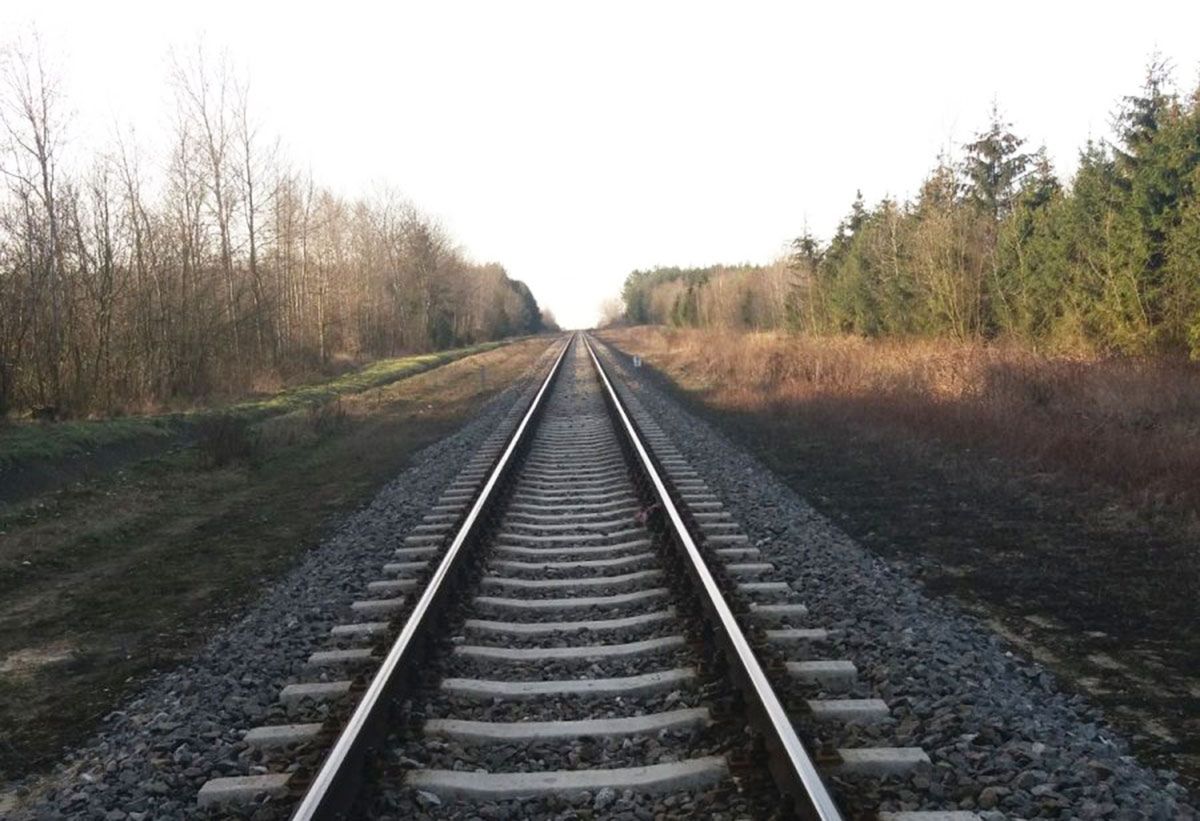 Tajemnicza śmierć pasażerki pociągu. Ciało przy torach koło Parczewa