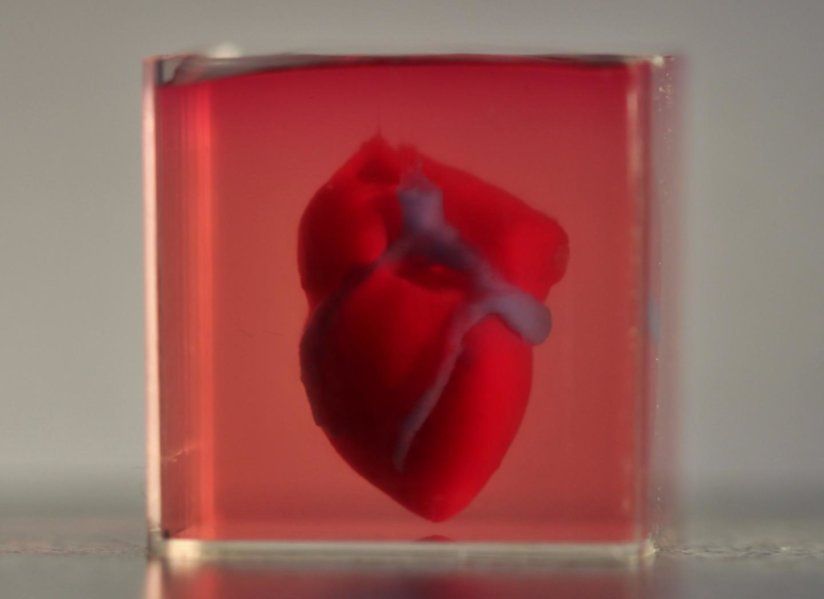 Naukowcy stworzyli sztuczne serce w drukarce 3D. Składa się z komórek pacjenta