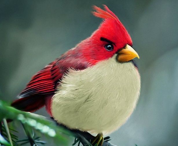 Prawie 140 tysięcy dni na dobę gramy w Angry Birds