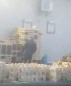 Przekręt na truskawkach kwitnie. Pani z zieleniaka pokazała, jak hiszpańskie owoce stają się "polskimi"