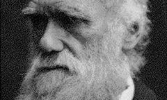 Odkryto historyczne jajo