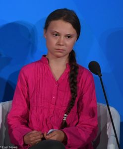 Greta Thunberg krytykuje. Co na to Angela Merkel?