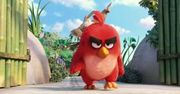 "Angry Birds" tegorocznym ambasadorem Międzynarodowego Dnia Szczęścia