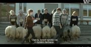 #dziejesienazywo: Najlepsze premiery kinowe tygodnia