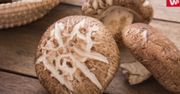 Grzyby shiitake. Bogactwo cennych składników