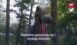 Park Ewolucji. Idealna atrakcja na weekend z dziećmi