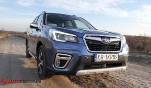 Subaru Forester e-boxer - wymyka się z definicji SUV-a