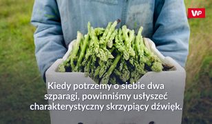 Jak wybrać najlepsze szparagi?