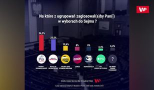 PiS zyskuje, KO traci. Katarzyna Lubnauer komentuje najnowszy sondaż WP