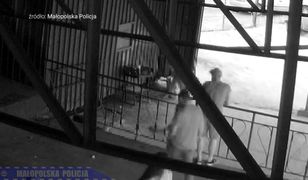 Znęcał się nad kotem, a potem go zabił. Jest nagranie z monitoringu