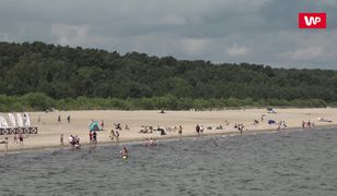 Cztery złote za toaletę nad morzem. "W lesie nie da się chodzić"