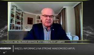 Ukraina dostała już myśliwce MiG-29? Gen. Skrzypczak zaskoczył