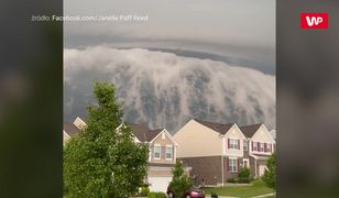 Niesamowite nagranie z USA stało się hitem w sieci