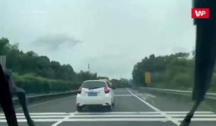 Ogromny pyton na samochodzie na autostradzie w Chinach