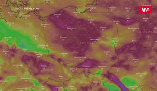 Pogoda. Kiedy będzie ciepło? Niestety, na prawdziwą wiosnę trzeba będzie poczekać