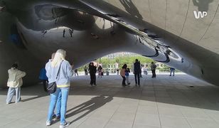 Nawet trzy razy dziennie z Polski do Chicago