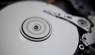 Pomysł na biznes: Polski Fundusz Rozwoju dla firm. Wystarczy dobry pomysł