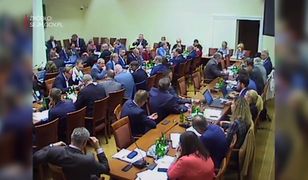 Nie wyleczysz kota w niedzielę?