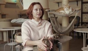 Pomysł na biznes: Kocia kawiarnia w Warszawie