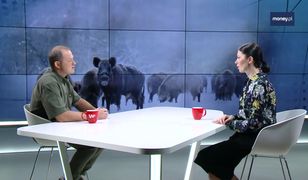 Maty przy wejściu do lasu? "Zacznie się sezon grzybowy, nikt nie dezynfekuje rączek, butów"