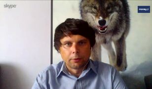 Zamek w Puszczy Noteckiej to katastrofa dla środowiska. Ekolog: "Raport środowiskowy do kosza"