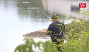 Ludzie na własną rękę zaczynają szukać pytona. Musiała interweniować policja