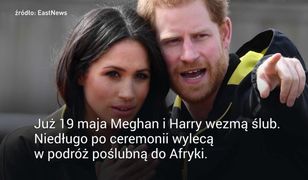 Wiemy, gdzie Meghan Markle i książę Harry spędzą miesiąc miodowy
