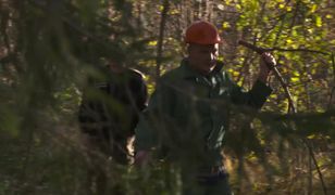 Każdy przestraszyłby się go w nocy. Zobacz, kim jest "Byczek Fernando"