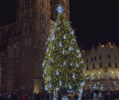 Najpiękniejsza choinka na świecie. Znajduje się w polskim mieście