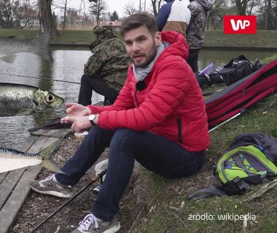 Najgorsze gatunki ryb. Lepiej z nich zrezygnować