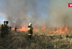 Dramatyczna walka strażaków. Próbują ratować, co się da. "Jest bardzo trudno"