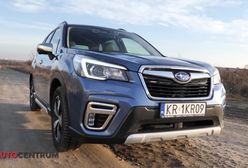 Subaru Forester e-boxer - wymyka się z definicji SUV-a